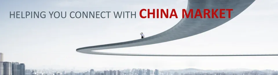 Business Consulting In China