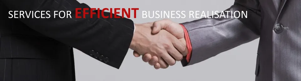 China Business Marketing Consulting